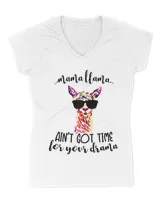 Women's V-Neck T-Shirt Women's V-Neck T-Shirt