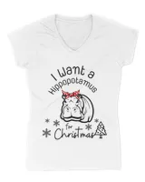 Women's V-Neck T-Shirt Women's V-Neck T-Shirt
