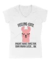 Women's V-Neck T-Shirt Women's V-Neck T-Shirt
