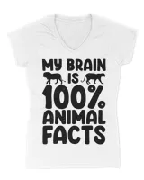 Women's V-Neck T-Shirt Women's V-Neck T-Shirt
