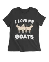 Women's Premium Slim Fit Tee Women's Premium Slim Fit Tee