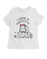 Women's Premium Slim Fit Tee Women's Premium Slim Fit Tee