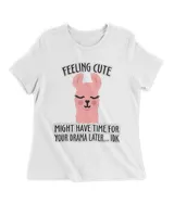 Women's Premium Slim Fit Tee Women's Premium Slim Fit Tee
