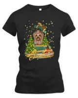 Women's Premium Slim Fit Tee Women's Premium Slim Fit Tee