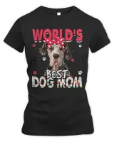 Women's Premium Slim Fit Tee Women's Premium Slim Fit Tee