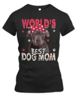 Women's Premium Slim Fit Tee Women's Premium Slim Fit Tee