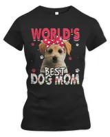 Women's Premium Slim Fit Tee Women's Premium Slim Fit Tee