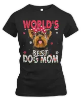 Women's Premium Slim Fit Tee Women's Premium Slim Fit Tee