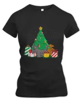 Women's Premium Slim Fit Tee Women's Premium Slim Fit Tee
