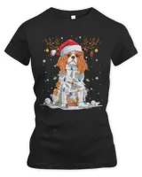 Women's Premium Slim Fit Tee Women's Premium Slim Fit Tee