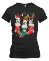 Women's Premium Slim Fit Tee Women's Premium Slim Fit Tee