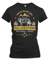 Women's Premium Slim Fit Tee Women's Premium Slim Fit Tee
