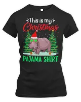 Women's Premium Slim Fit Tee Women's Premium Slim Fit Tee