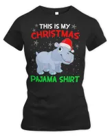 Women's Premium Slim Fit Tee Women's Premium Slim Fit Tee