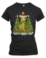 Women's Premium Slim Fit Tee Women's Premium Slim Fit Tee