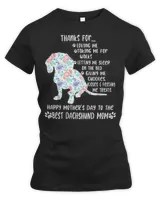 Women's Premium Slim Fit Tee Women's Premium Slim Fit Tee