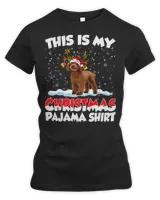 Women's Premium Slim Fit Tee Women's Premium Slim Fit Tee