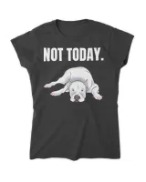 Women's Standard T-Shirt Women's Standard T-Shirt