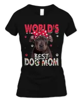 Women's Standard T-Shirt Women's Standard T-Shirt