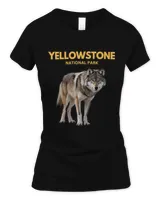 Women's Standard T-Shirt Women's Standard T-Shirt