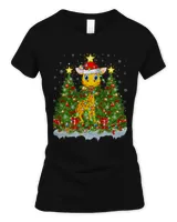 Women's Standard T-Shirt Women's Standard T-Shirt