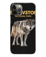 Snap Case - iP 12 Pro Max Snap Case - iP 12 Pro Max