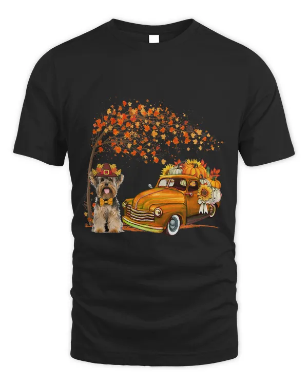 Yorkshire Terrier Wearing Hat Fall Pickup Truck Pumpkins