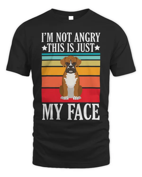 sarcastic funny saying Im not angry this is just my face 2