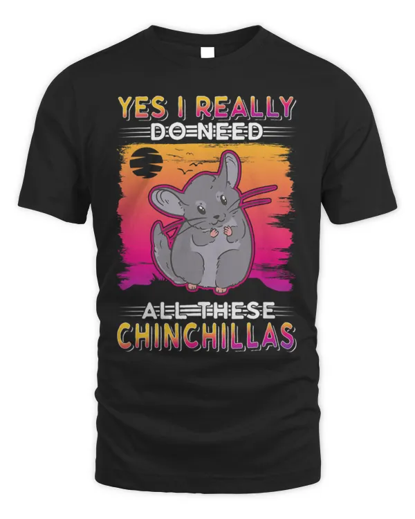 Chinchilla Mammal Yes I really do need all these Chinchillas 1