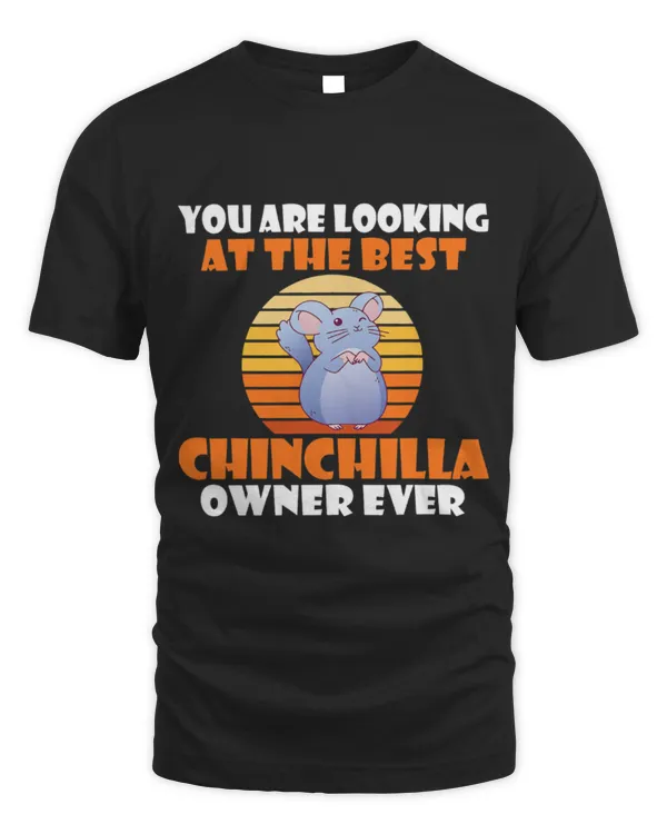 Chinchilla Mammal You are looking at the best Chinchilla Owner Ever 1
