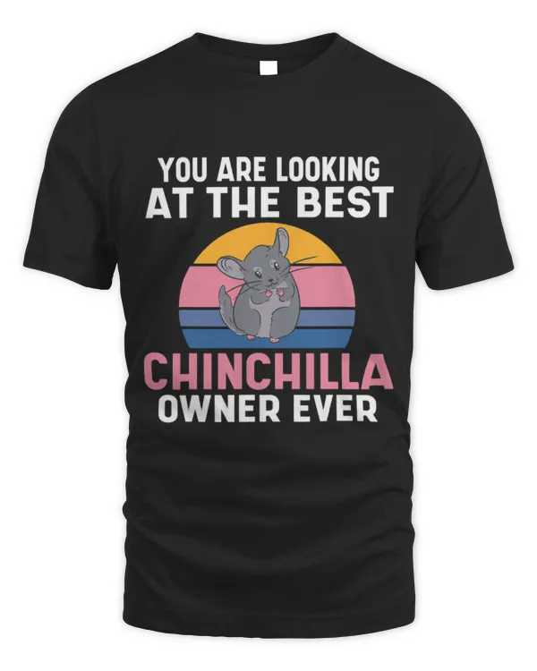 Chinchilla Mammal You are looking at the best Chinchilla Owner Ever