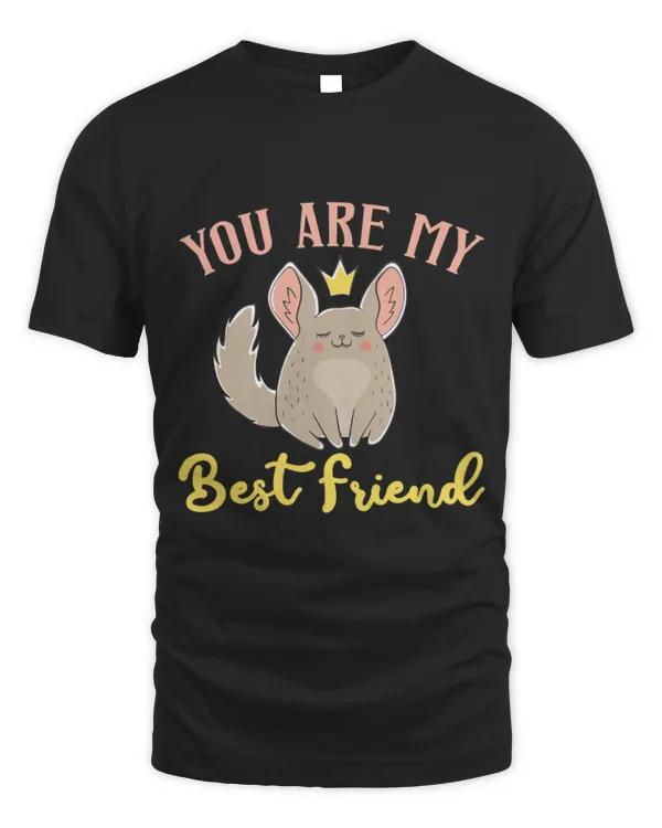 Chinchilla Mammal You Are May Best Friend
