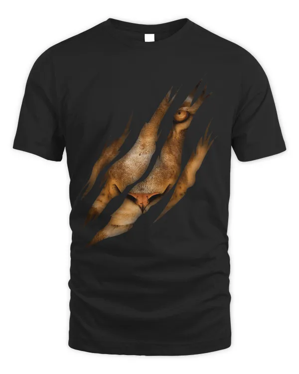 Lion Pet Face Torn Claw Wild Animal Cat Safari King