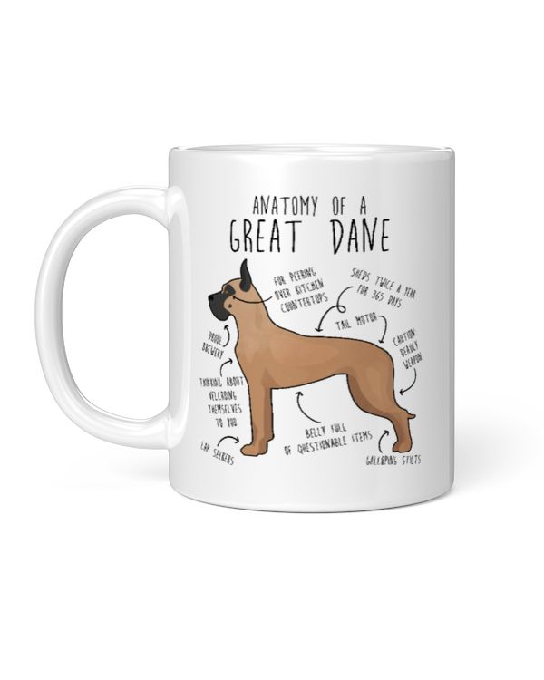 Anatomy Of A Great Dane