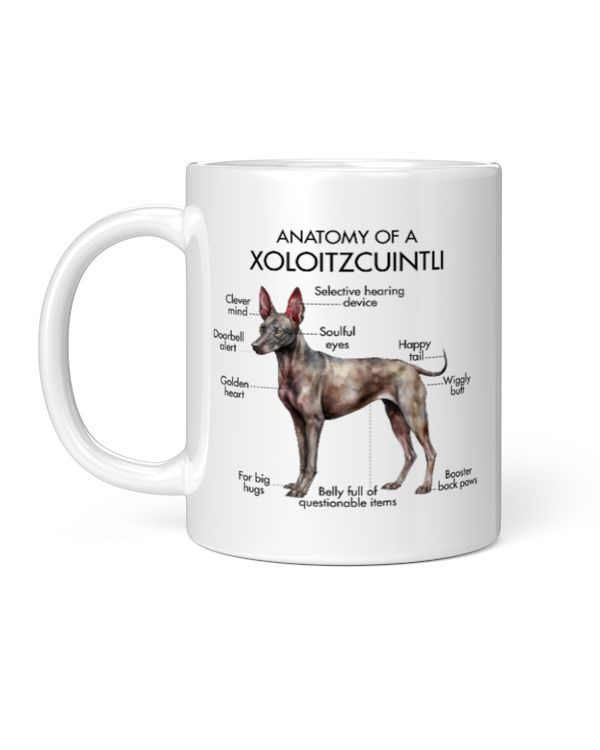 Anatomy Of A Xoloitzcuintli