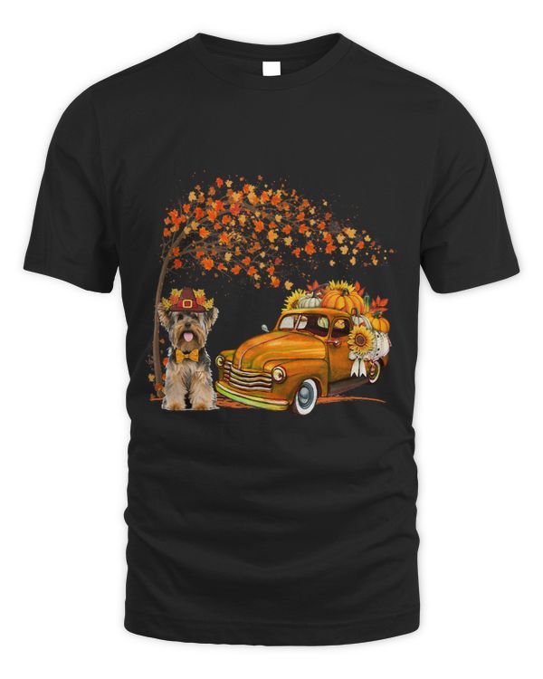 Yorkshire Terrier Wearing Hat Fall Pickup Truck Pumpkins