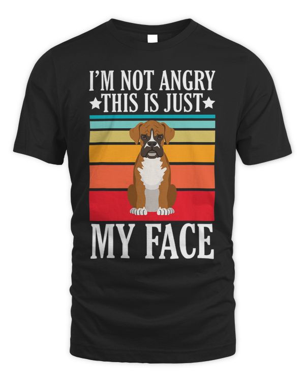 sarcastic funny saying Im not angry this is just my face 2