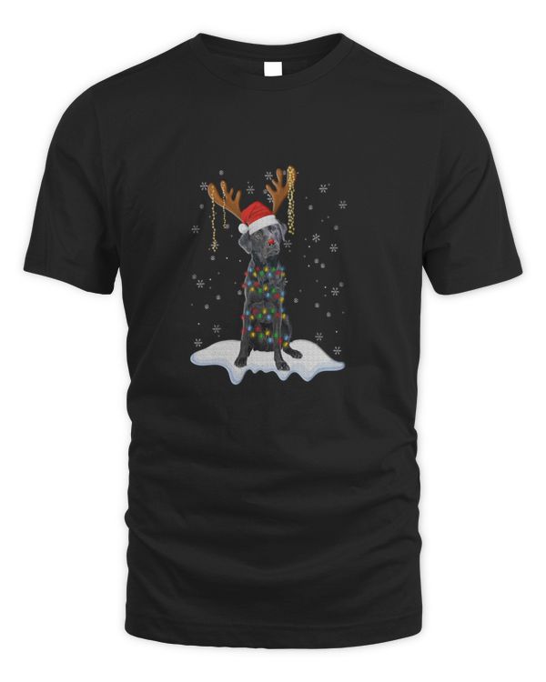 Black Lab Labrador Christmas Tree Light V Dog Xmas V V V