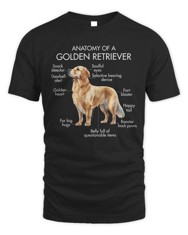 Anatomy Of A Golden Retriever