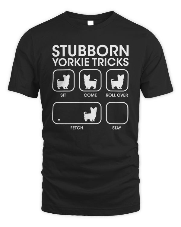 Stubborn Yorkie Tricks