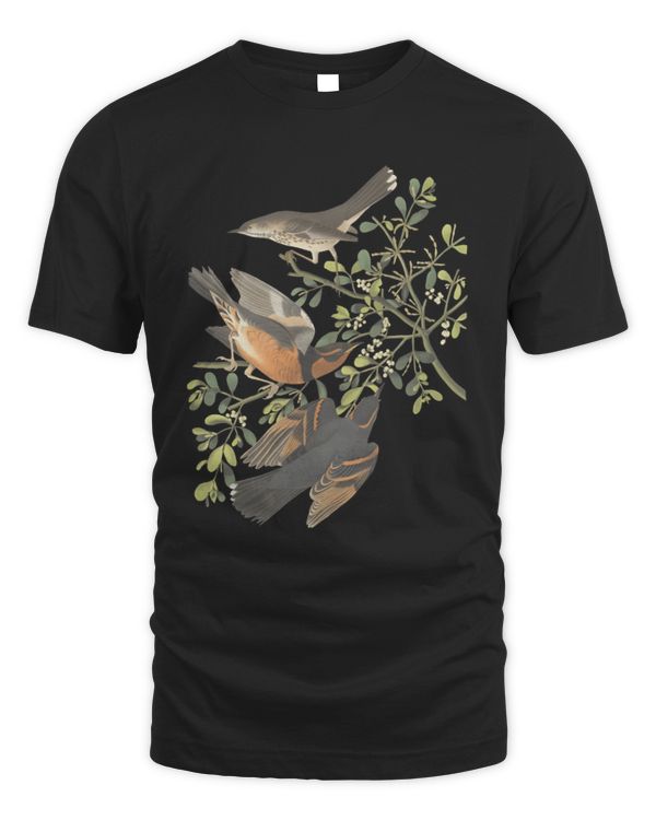 Audubon Birds T-Shirt, Vintage Bird Shirt, Vintage Birds, Cottagecore T-Shirt, Vintage Art T-Shirt, Nature Lover Tee