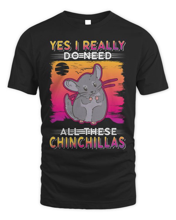Chinchilla Mammal Yes I really do need all these Chinchillas 1