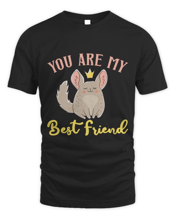 Chinchilla Mammal You Are May Best Friend