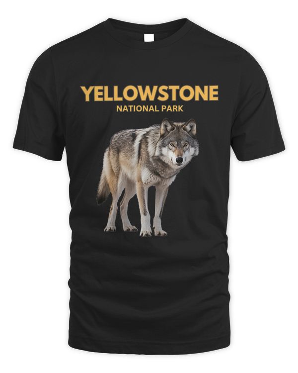 Coyote Mammal Yellowstone National Park Beautiful