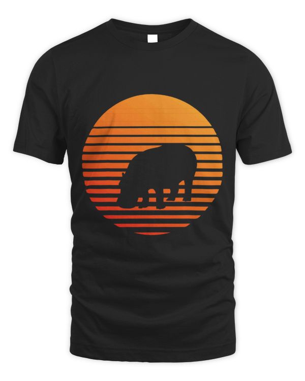 Hippo Pet Shadow silhouette in front of a Sun