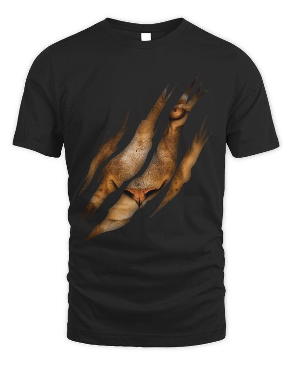 Lion Pet Face Torn Claw Wild Animal Cat Safari King