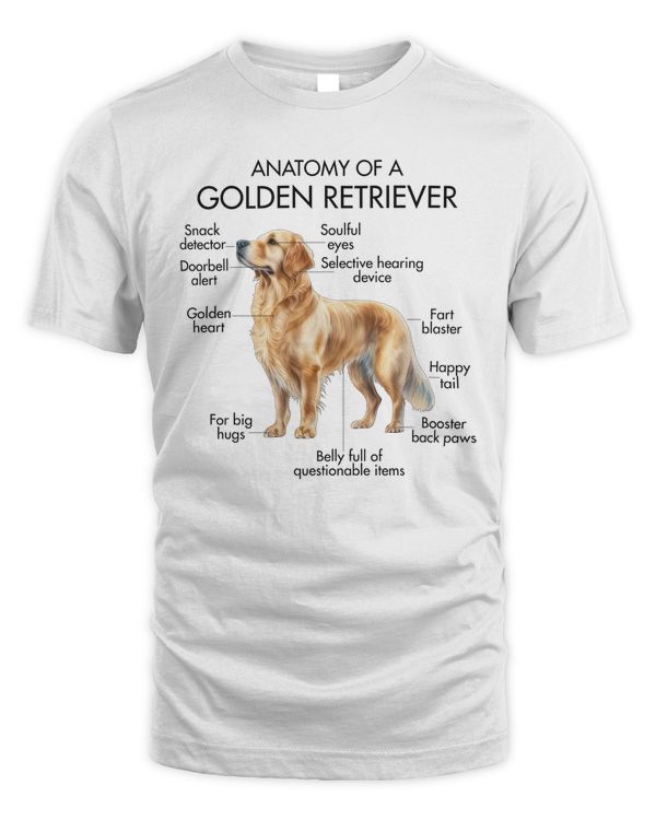 Anatomy Of A Golden Retriever