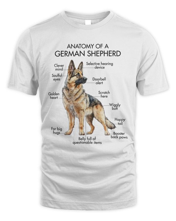 Anatomy Of A German Shepherd
