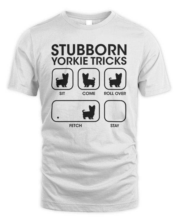 Stubborn Yorkie Tricks