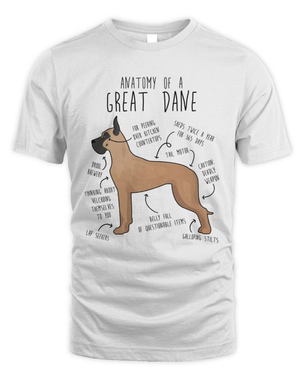 Anatomy Of A Great Dane
